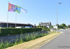 Op weg naar Alkemade, dat sinds 2020 100% eigendom is van Vitroflora.(Lees hier meer over de overname: https://www.bpnieuws.nl/article/9183980/vitroflora-neemt-nederlandse-vaste-plantenteler-gebr-alkemade-over/)